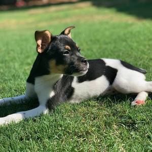 Meet your Posher, Geraldine